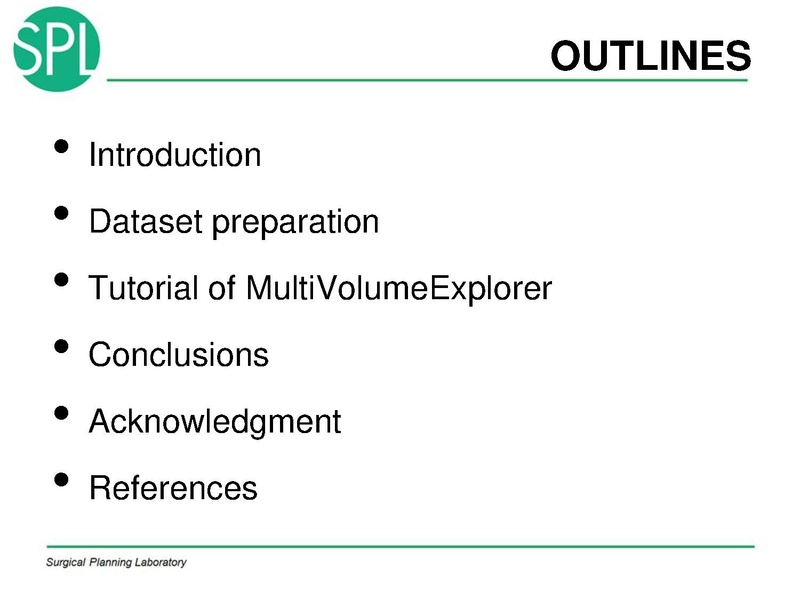 File:MultiVolumeExplorer Meysam SNR-April2013-v4.pdf