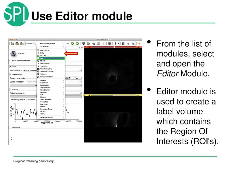 File:MultiVolumeExplorer Meysam SNR-April2013-v4.pdf