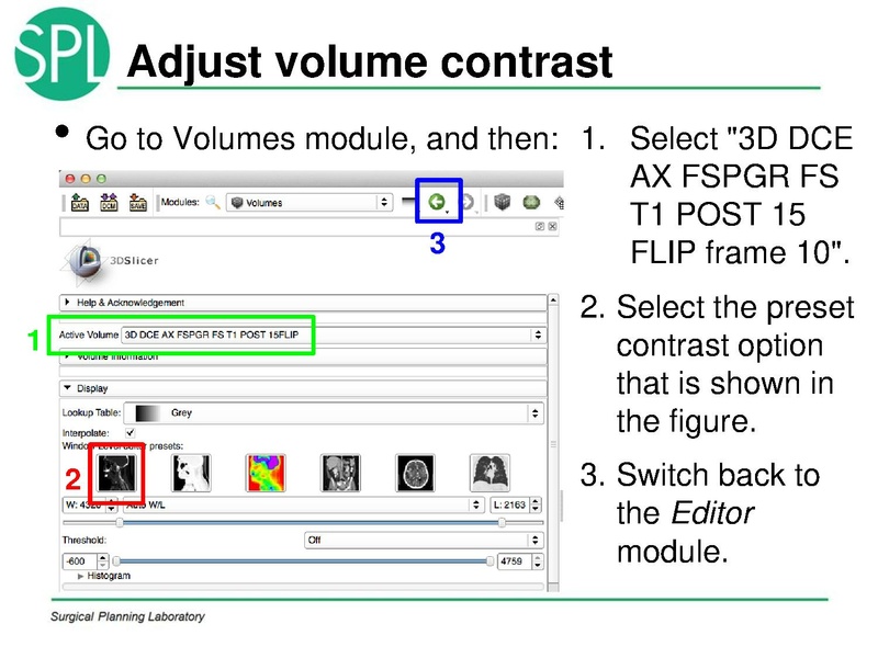 File:MultiVolumeExplorer Meysam SNR-April2013-v4.pdf