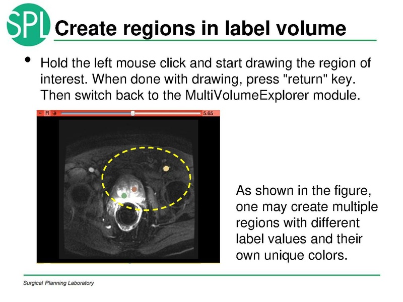 File:MultiVolumeExplorer Meysam SNR-April2013-v4.pdf