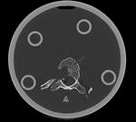 this is the moving image. The transform is calculated by matching this to the reference image