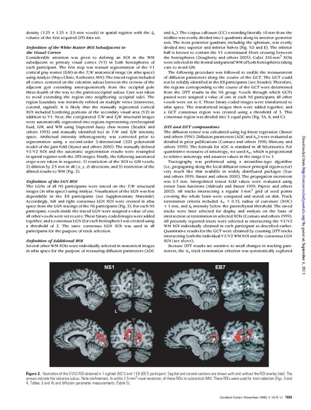 File:Shimony-CerebCortex2006.pdf