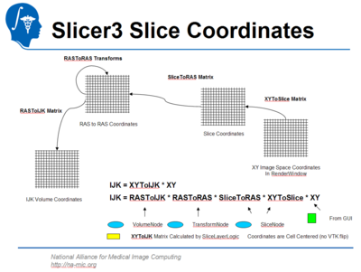 Slicer3-coordinates.png