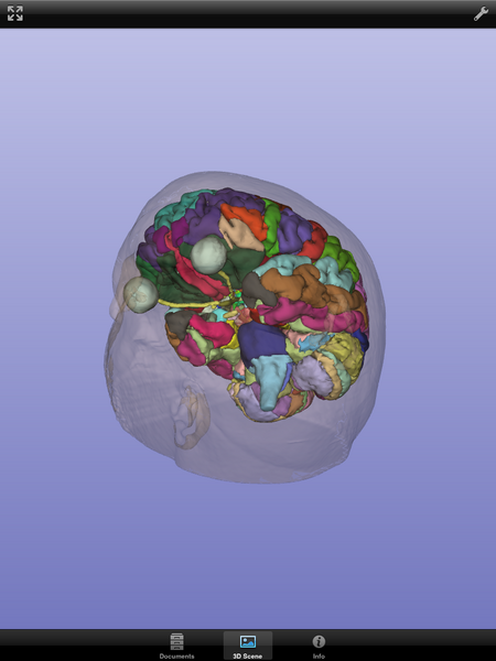 File:SlicerToKiwiExporter Kiwiviewer 8.PNG