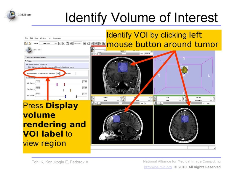 File:Slicer3.6-ChangeTrackerTutorial.pdf