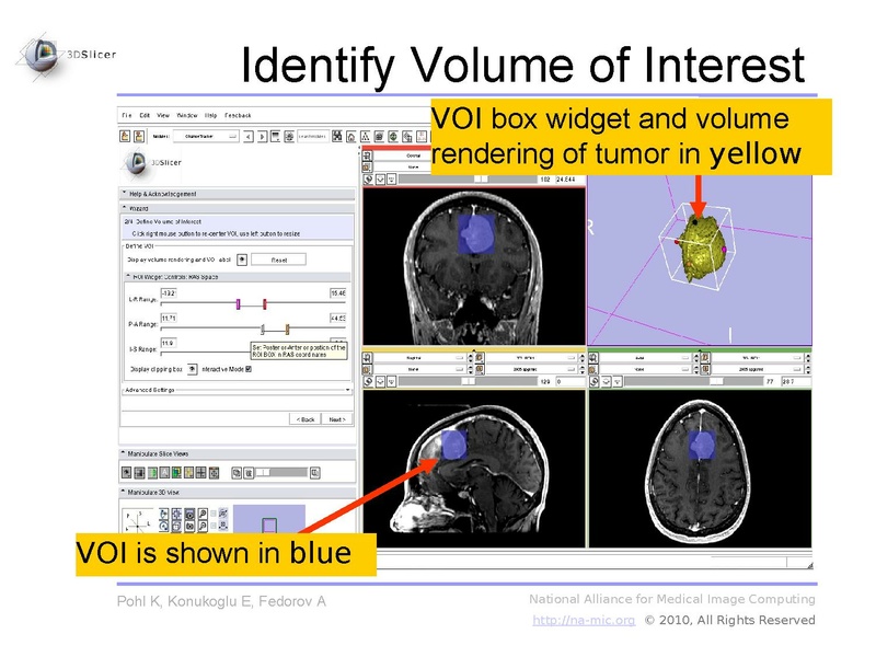 File:Slicer3.6-ChangeTrackerTutorial.pdf