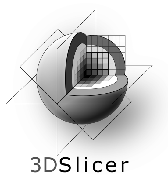 File:3DSlicerLogo-V-Mono-2300x2502.png