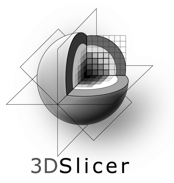 File:3DSlicerLogo-V-Mono-794x834.png