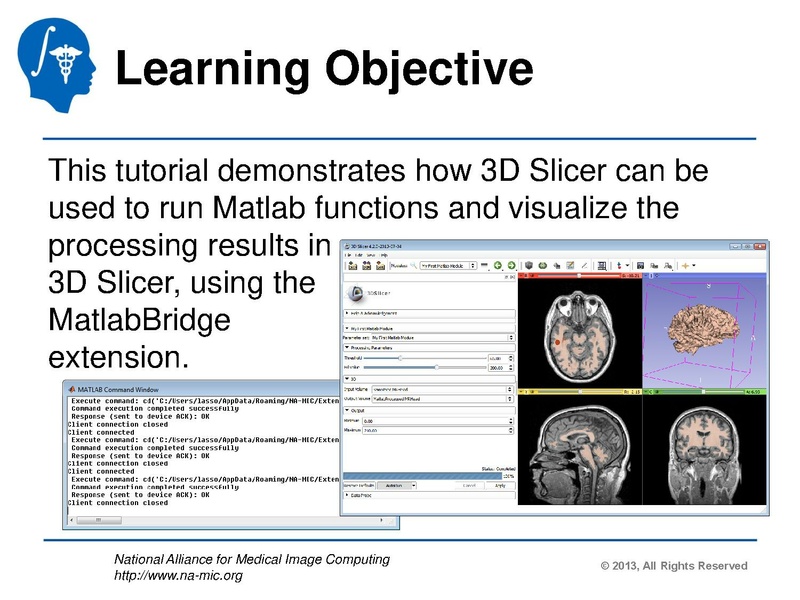 File:MatlabBridgeTutorial.pdf