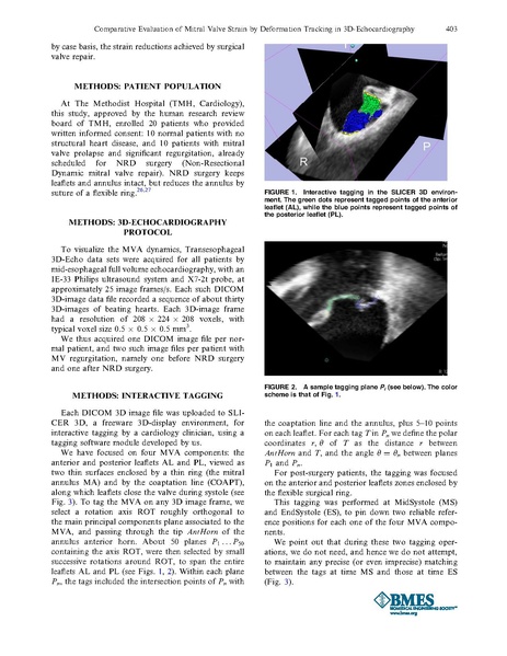 File:Zekry-CardiovascEngTech2012.pdf