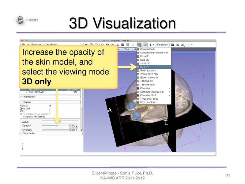 File:Slicer4minute-tutorial SoniaPujol-mj.pdf