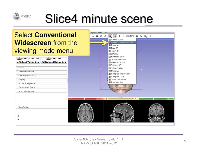 File:Slicer4minute-tutorial SoniaPujol-mj.pdf