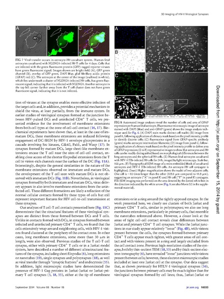 File:Do-JVirol2014.pdf