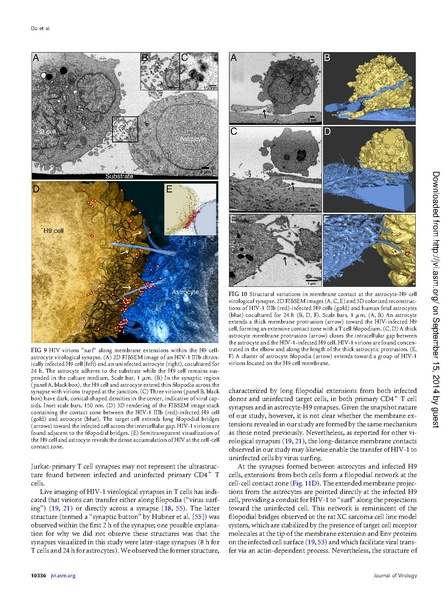 File:Do-JVirol2014.pdf