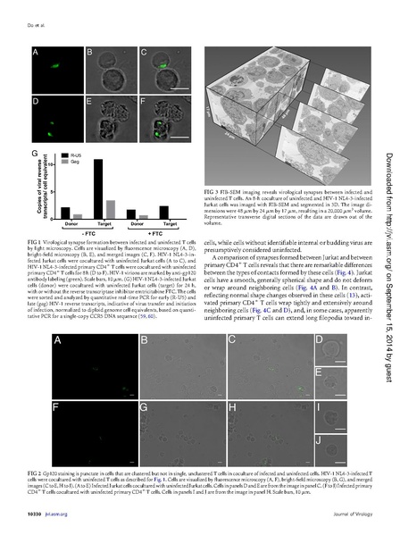 File:Do-JVirol2014.pdf