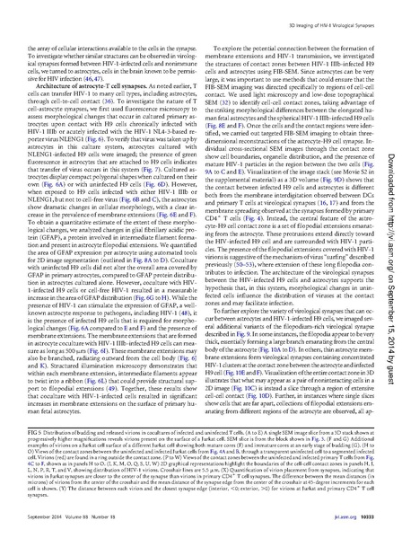 File:Do-JVirol2014.pdf