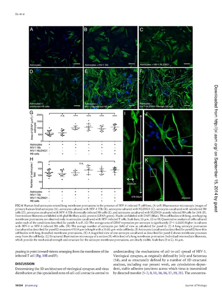 File:Do-JVirol2014.pdf