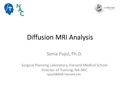 DTI Analysis Tutorial SoniaPujol.pdf
