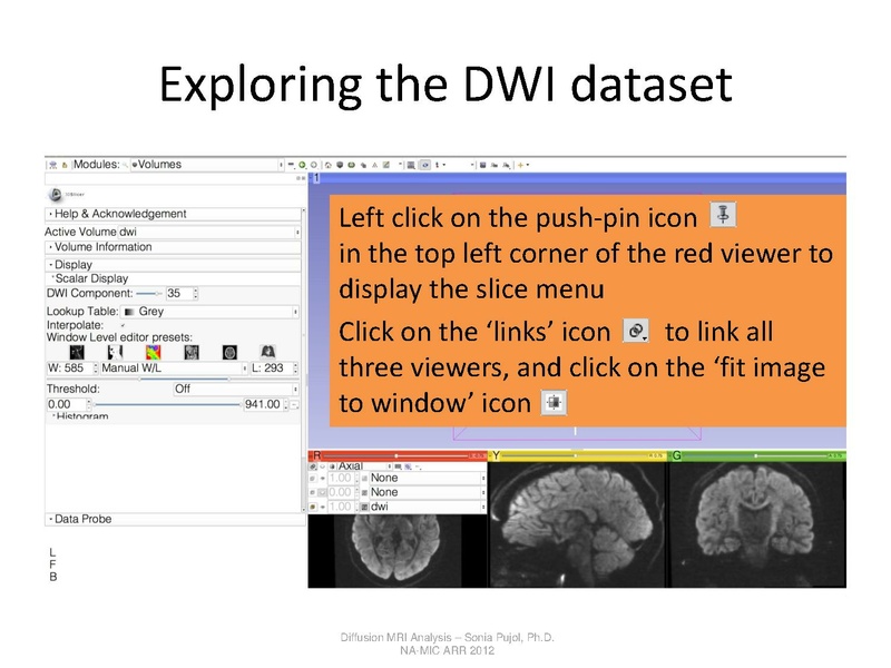 File:DTI Analysis Tutorial SoniaPujol.pdf