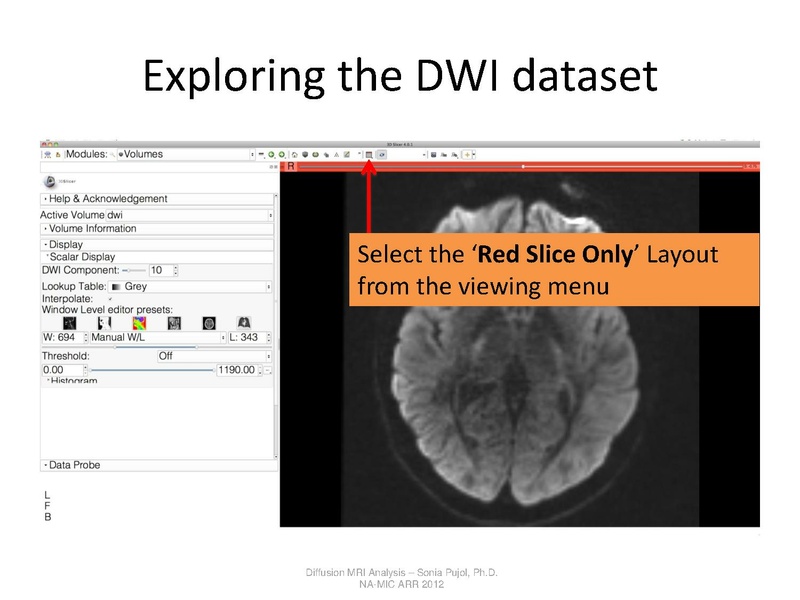 File:DTI Analysis Tutorial SoniaPujol.pdf