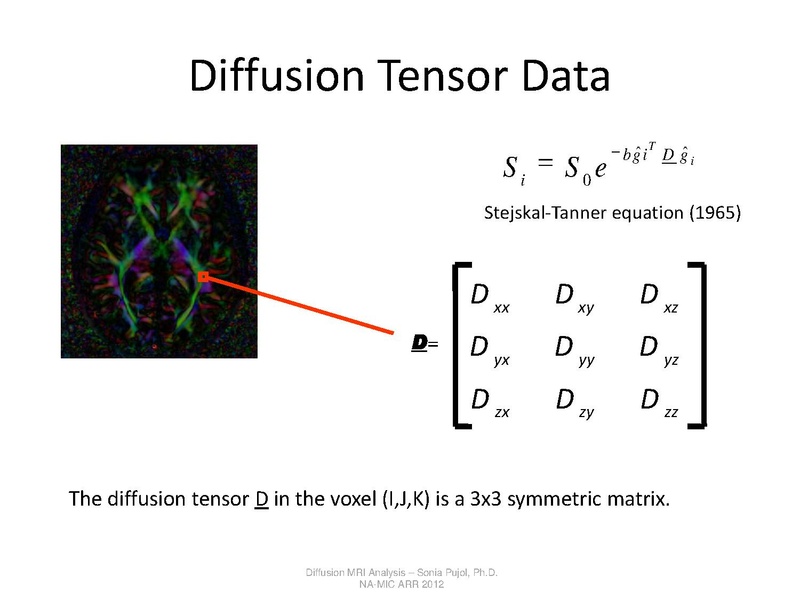 File:DTI Analysis Tutorial SoniaPujol.pdf