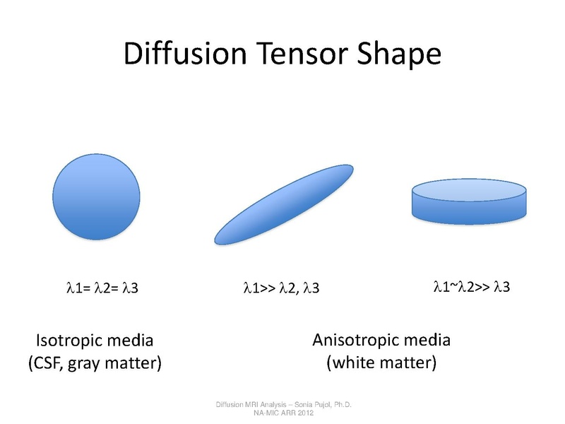 File:DTI Analysis Tutorial SoniaPujol.pdf