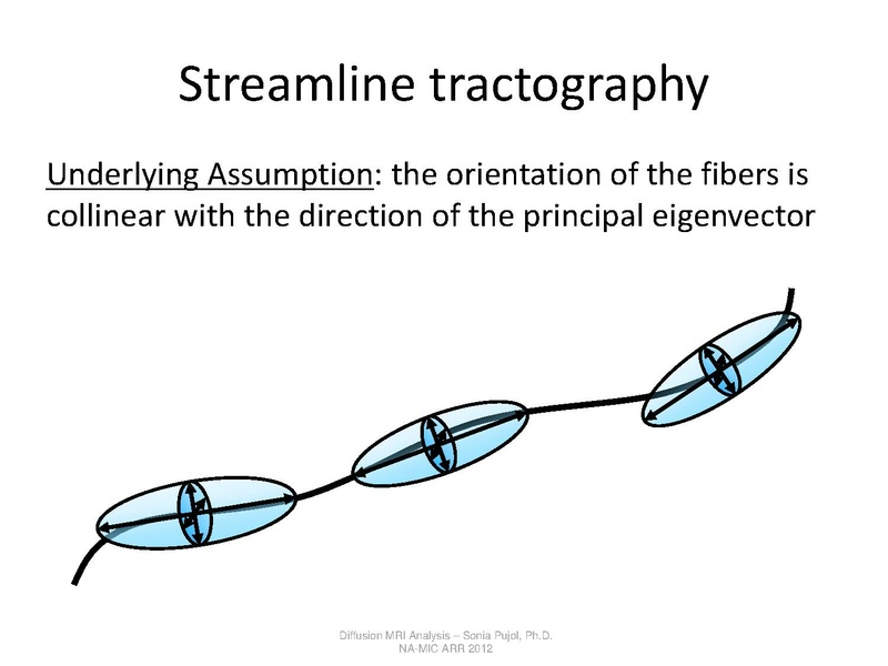 File:DTI Analysis Tutorial SoniaPujol.pdf