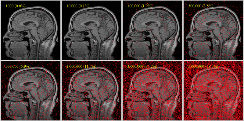 File:RegLib SamplePointsBrain.png