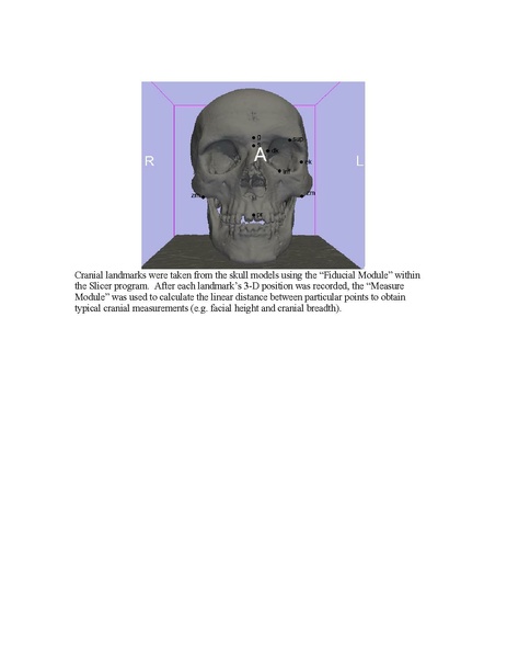 File:Butaric-slicer-mj.pdf