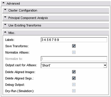 The advanced Misc. panel