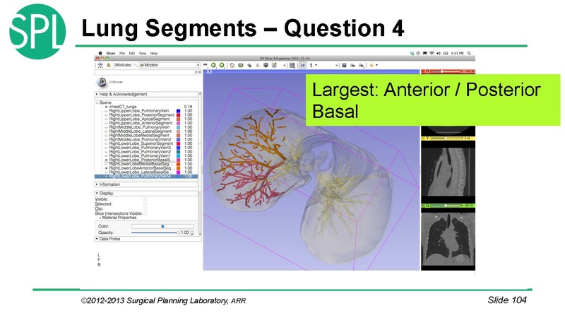 File:3DVisualizationDICOM RadiologyApplications SoniaPujol KittShaffer RSNA2012.pdf