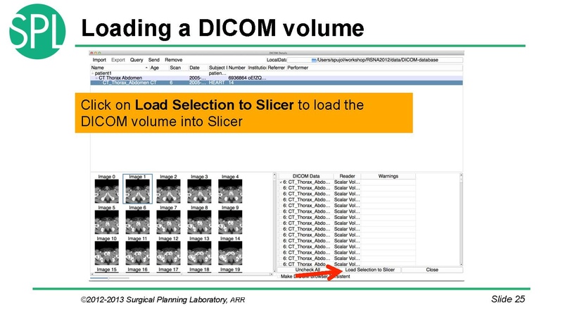 File:3DVisualizationDICOM RadiologyApplications SoniaPujol KittShaffer RSNA2012.pdf
