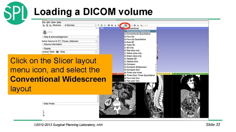 File:3DVisualizationDICOM RadiologyApplications SoniaPujol KittShaffer RSNA2012.pdf