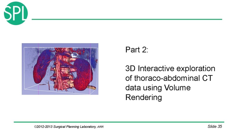 File:3DVisualizationDICOM RadiologyApplications SoniaPujol KittShaffer RSNA2012.pdf