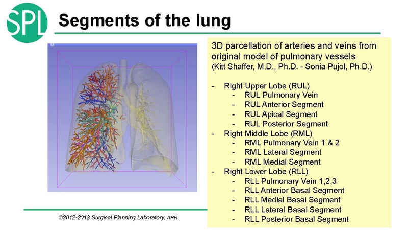 File:3DVisualizationDICOM RadiologyApplications SoniaPujol KittShaffer RSNA2012.pdf
