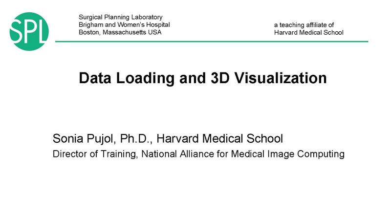 File:DataLoadingAndVisualizationSlicer4.1 SoniaPujol.pdf