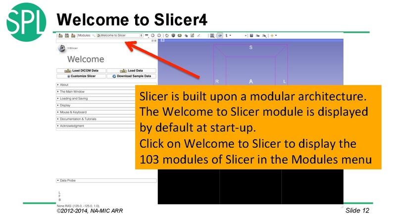 File:DataLoadingAndVisualizationSlicer4.1 SoniaPujol.pdf