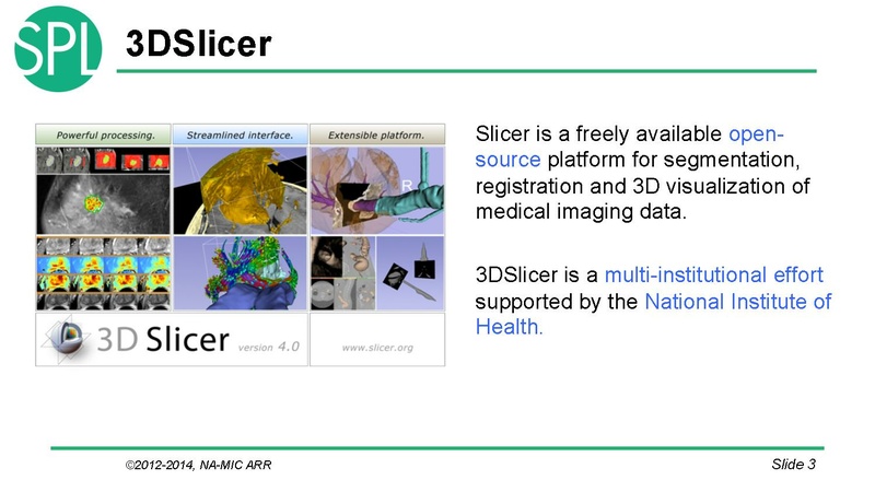 File:DataLoadingAndVisualizationSlicer4.1 SoniaPujol.pdf