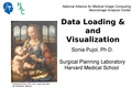 3DDataLoadingAndVisualization Slicer3.6 SoniaPujol.pdf
