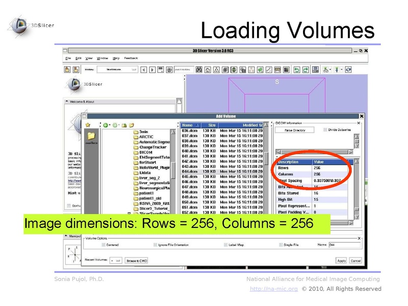 File:3DDataLoadingAndVisualization Slicer3.6 SoniaPujol.pdf