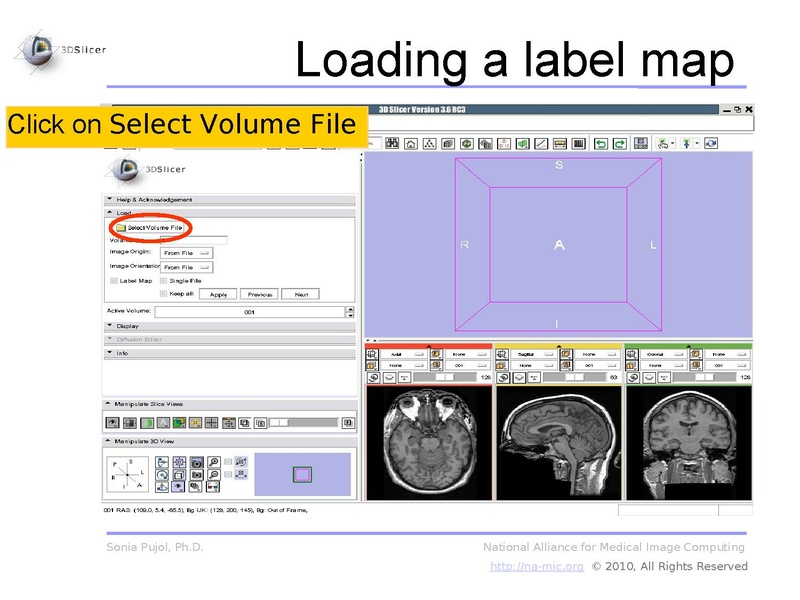 File:3DDataLoadingAndVisualization Slicer3.6 SoniaPujol.pdf
