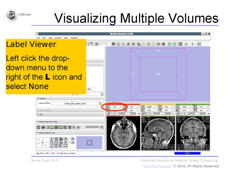 File:3DDataLoadingAndVisualization Slicer3.6 SoniaPujol.pdf