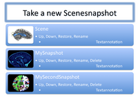 Mockup of the Scence Module