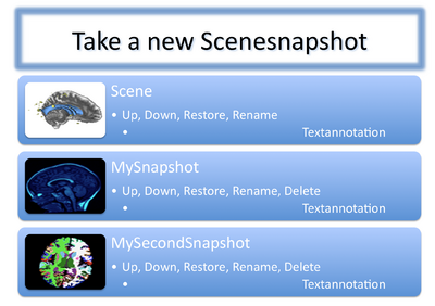 Mockup of the Scence Module