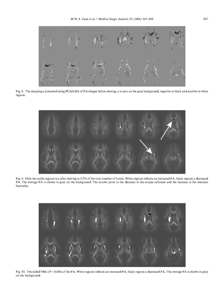 File:Caan-MIA2006.pdf