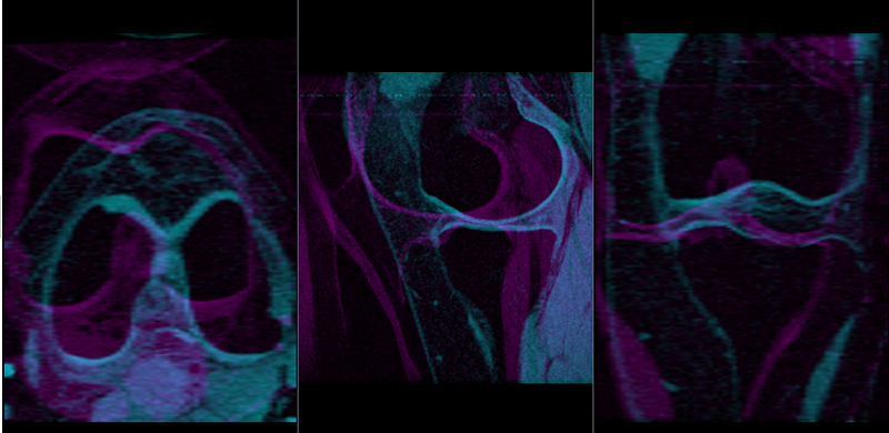 File:RegLib C21 Unregistered.png