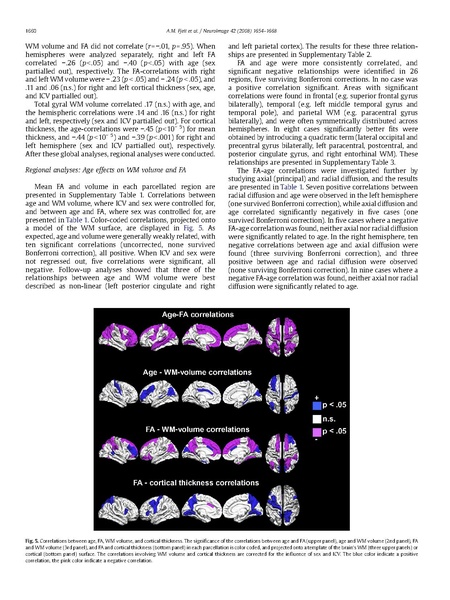 File:Fjell-NeuroImage2008.pdf
