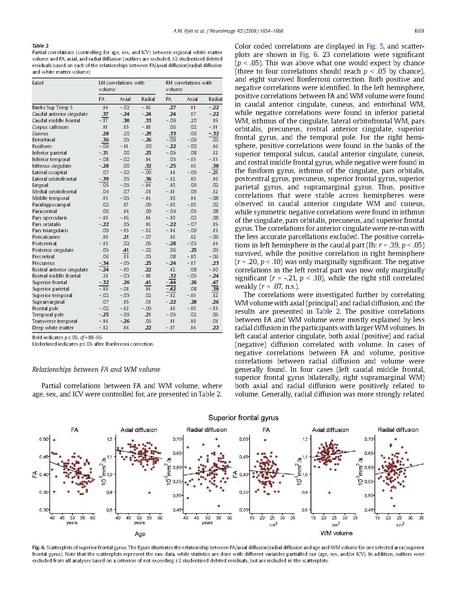 File:Fjell-NeuroImage2008.pdf