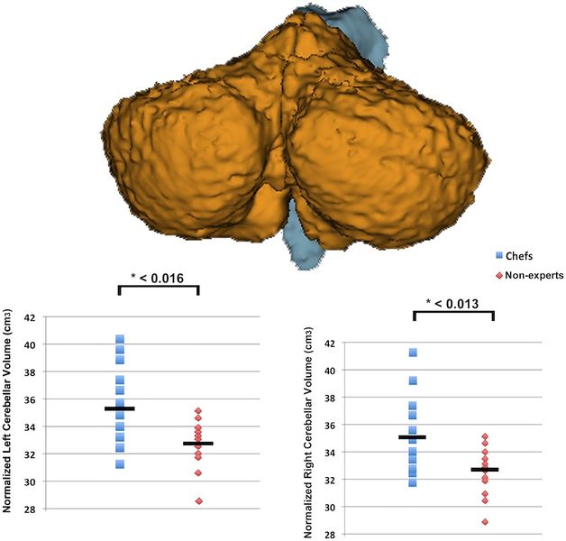 File:Carasa-PlosOne2017-fig2.jpg