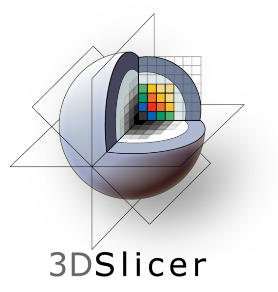 File:3DSlicerLogo-V-Color-794x834.png